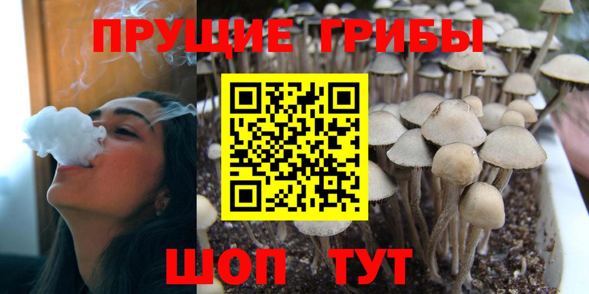 Псилоцибиновые грибы прущие грибы  Псилоцибиновые грибы MAGIC MUSHROOMS  где купить наркоту  Вход с VPN  Заринск 